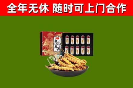 台南市回收冬虫夏草价格